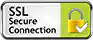 igvendez SSL Secure Connection